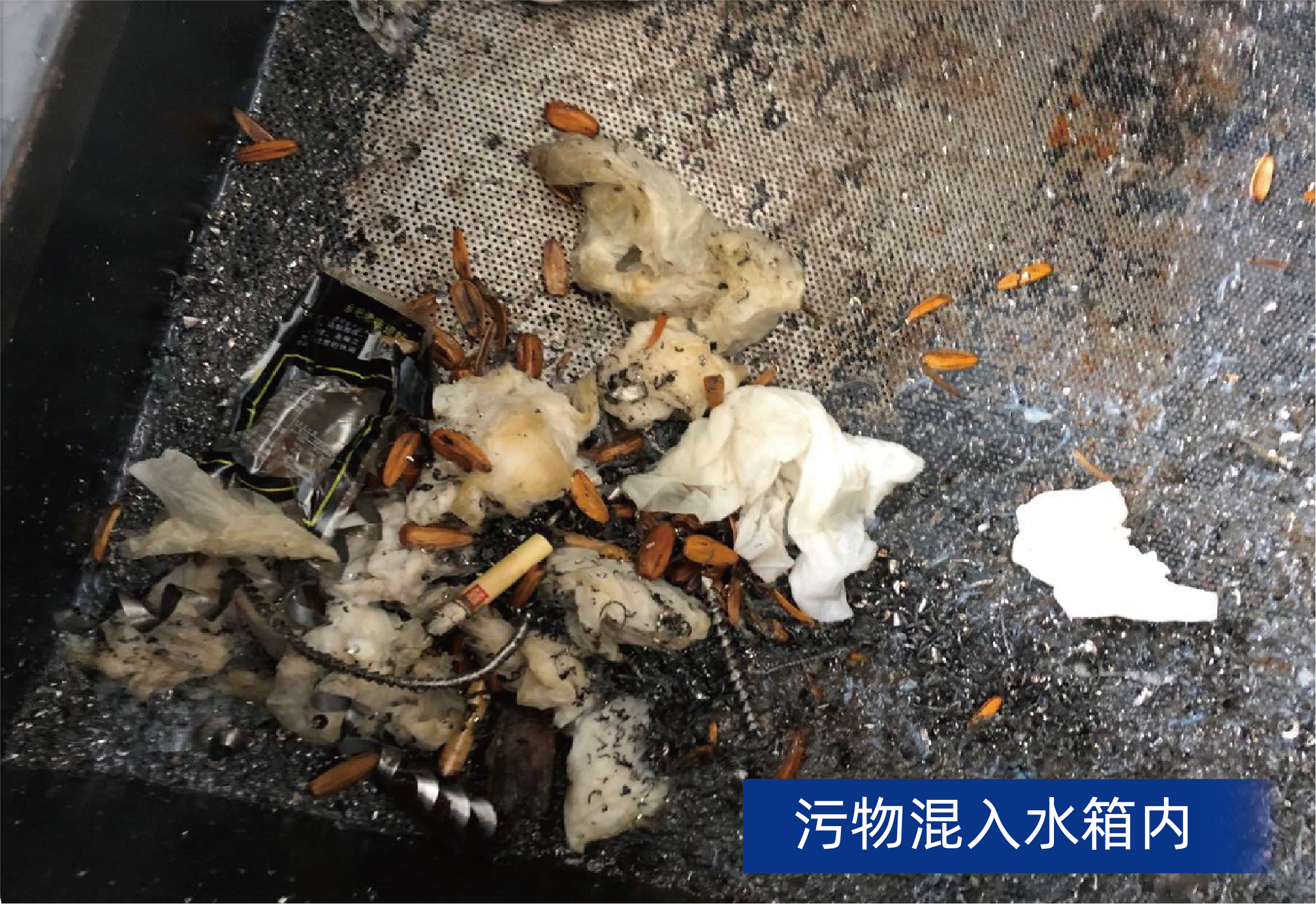 样机资源 3